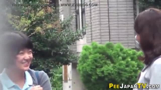 Seen asian pees in park